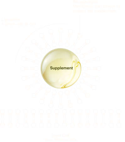 Diagram illustrating Sunny Within's liposomal delivery - Fueling radiant skin and energized cells.