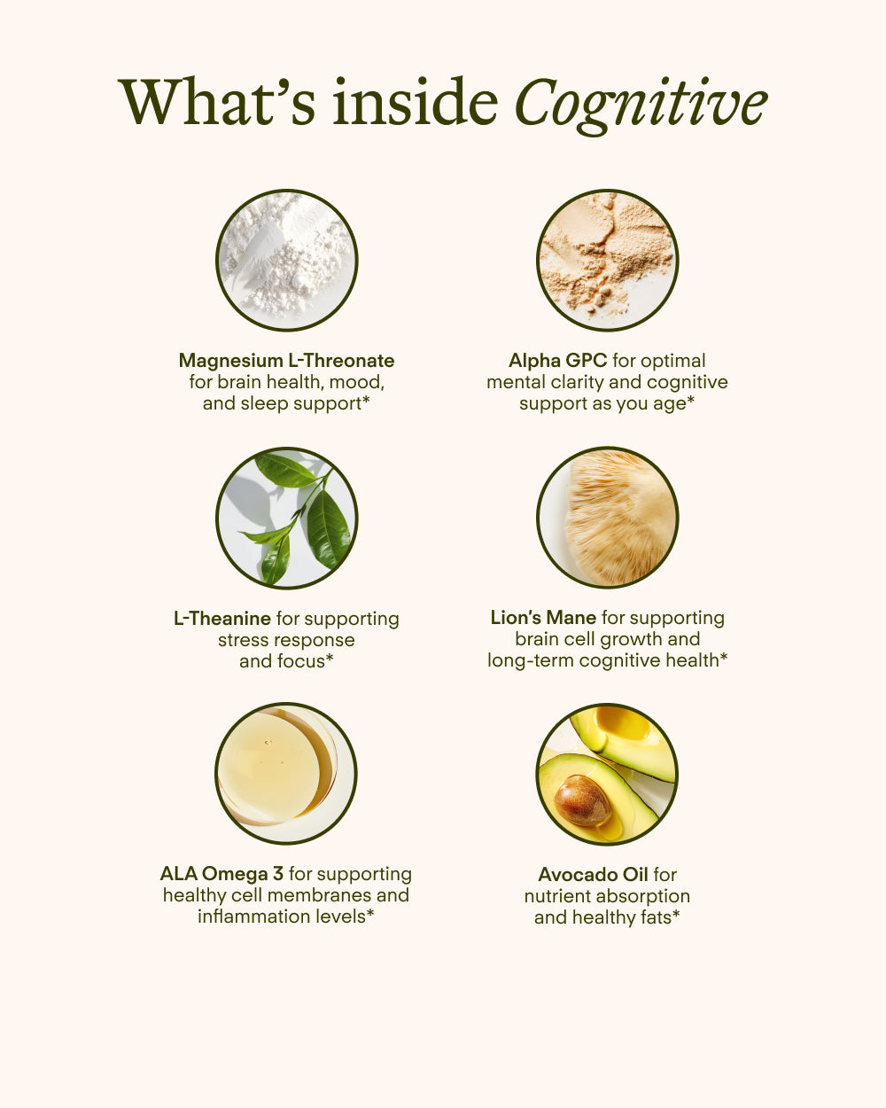 PDP Cognitive Supplement - Organic avocado oil powered capsules - Energize mind and nourish brain cells.