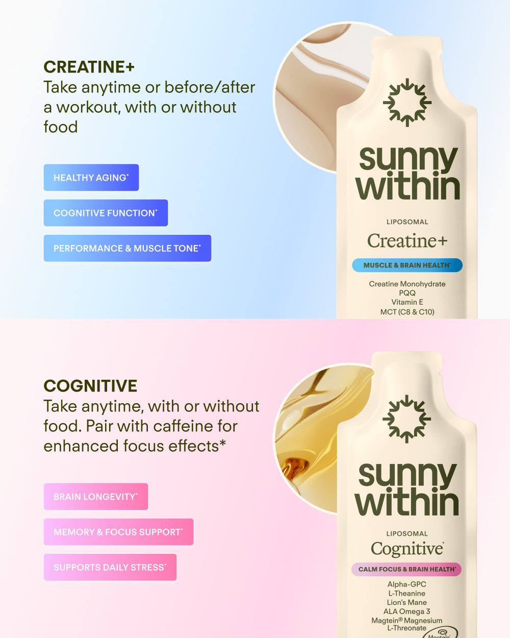 Brain Power Bundle