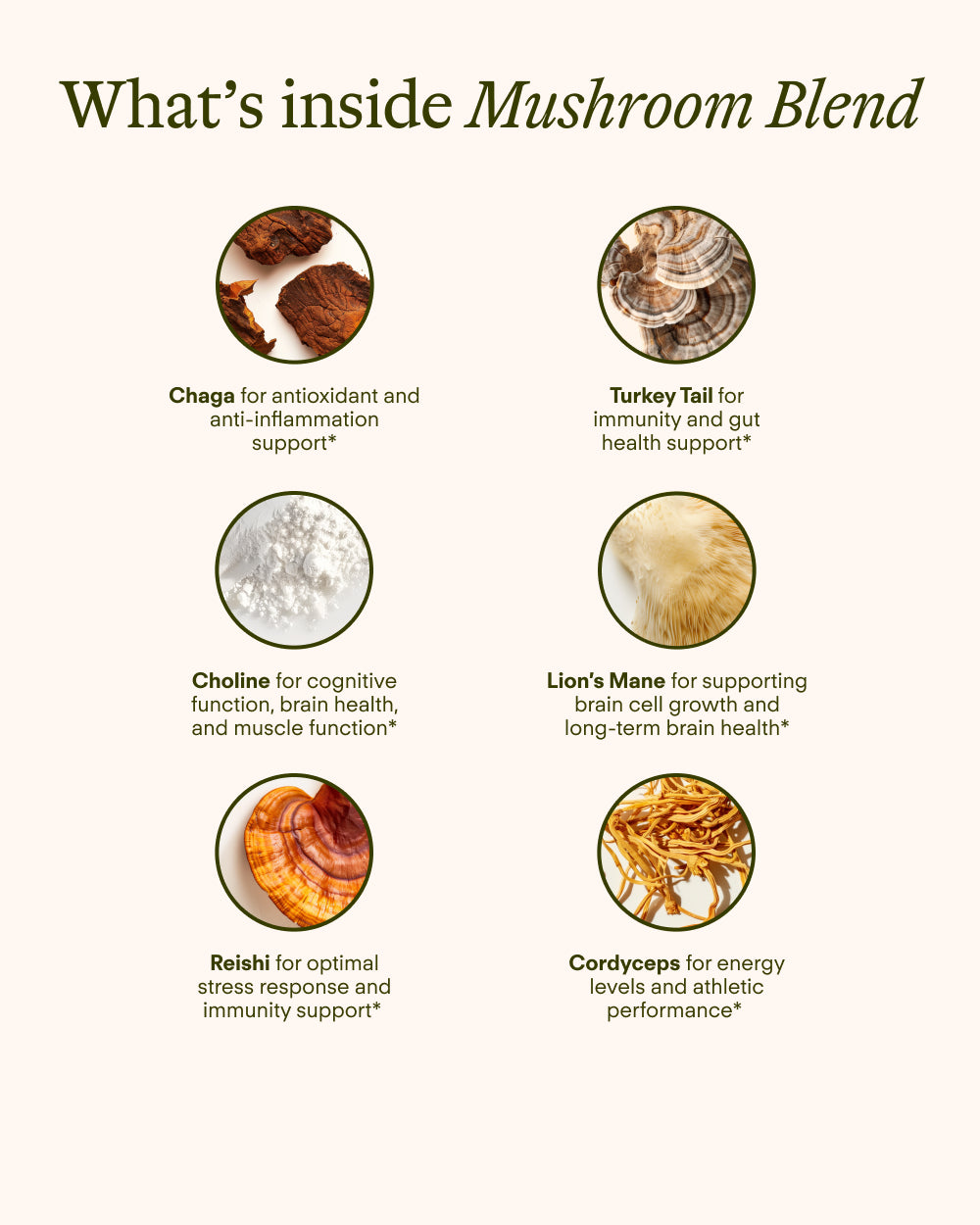 PDP Mushroom 5 - Organic mushroom supplement - Nourishes and energizes for a radiant glow.