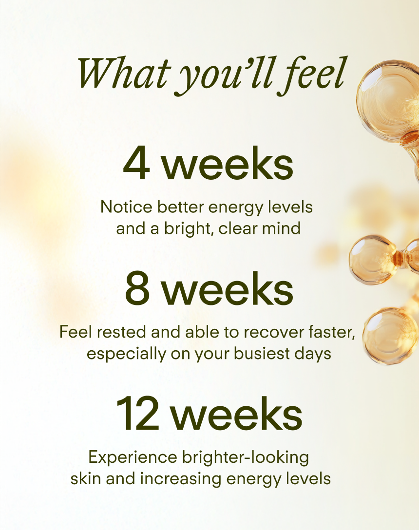 Sunny Within liposomal supplement - Energizing avocado oil blend in radiant golden packaging - Nourishes and fuels body glow.