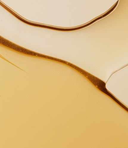 Sunny Within liposomal supplement - Organic avocado oil capsules - Radiant skin and energized cells.