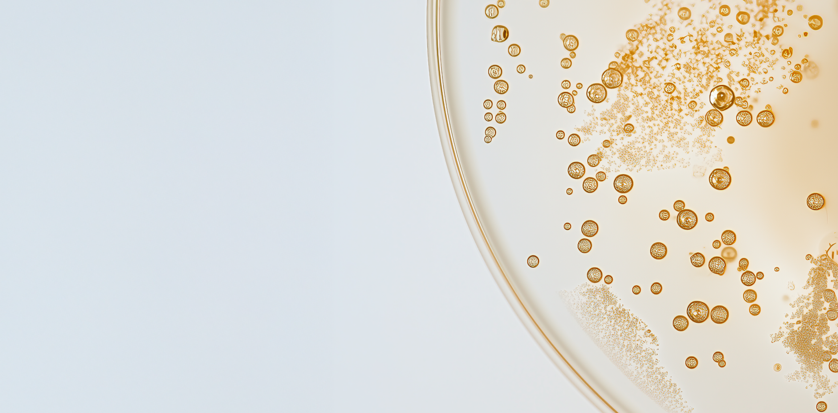 Sunny Within's liposomal supplement a radiant, golden liquid energizing and nourishing your cells.