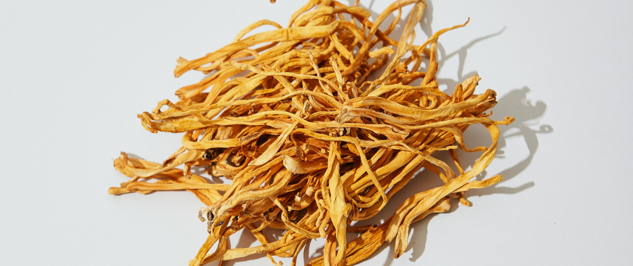 Cordyceps Benefits: Boost Energy, Stamina, And Endurance Naturally