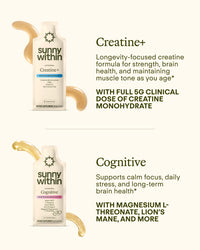 Brain Power Bundle