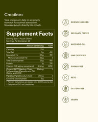 Brain Power Bundle