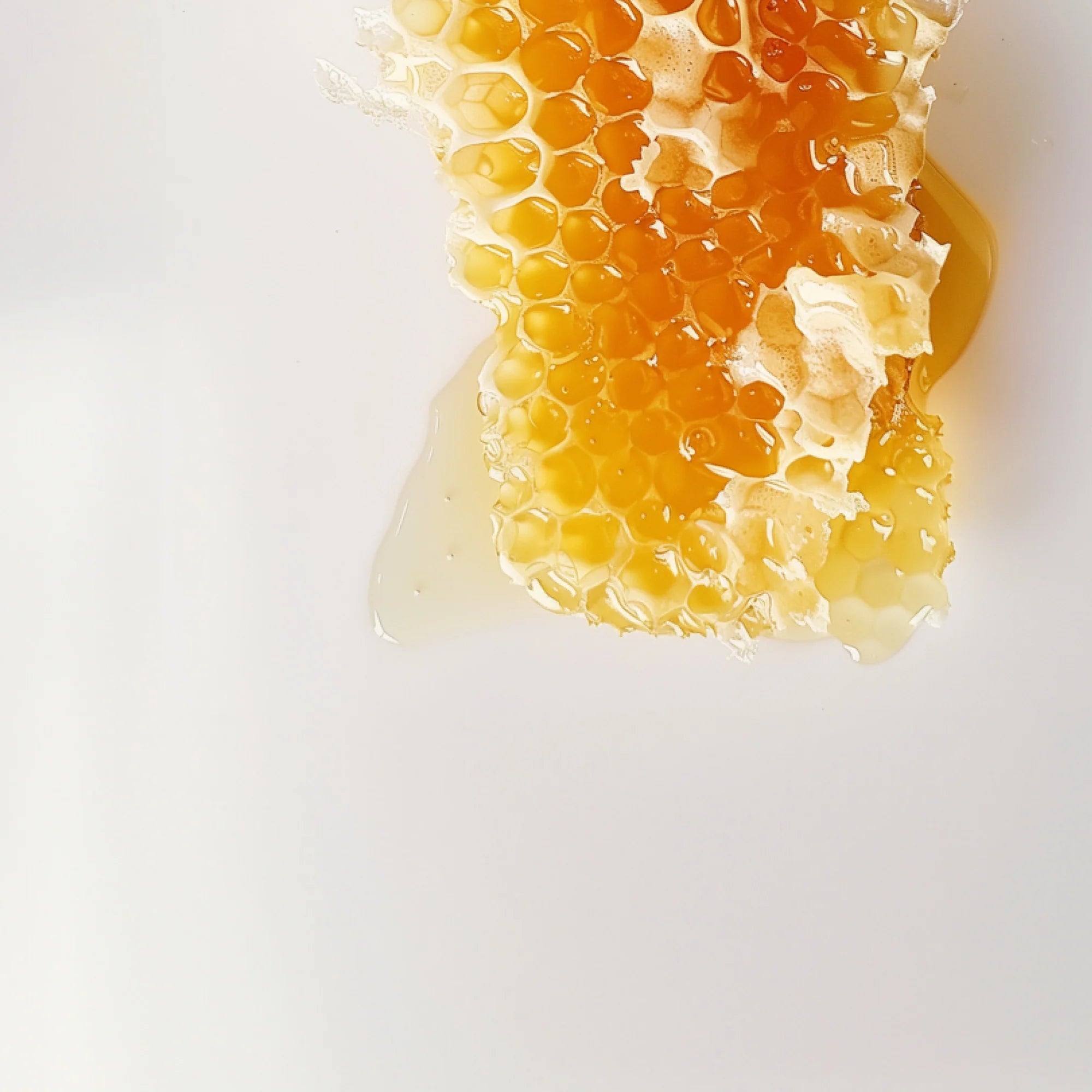 PDP Daily Defense Propolis - Golden honey-like liquid - Nourishes and energizes the skin.