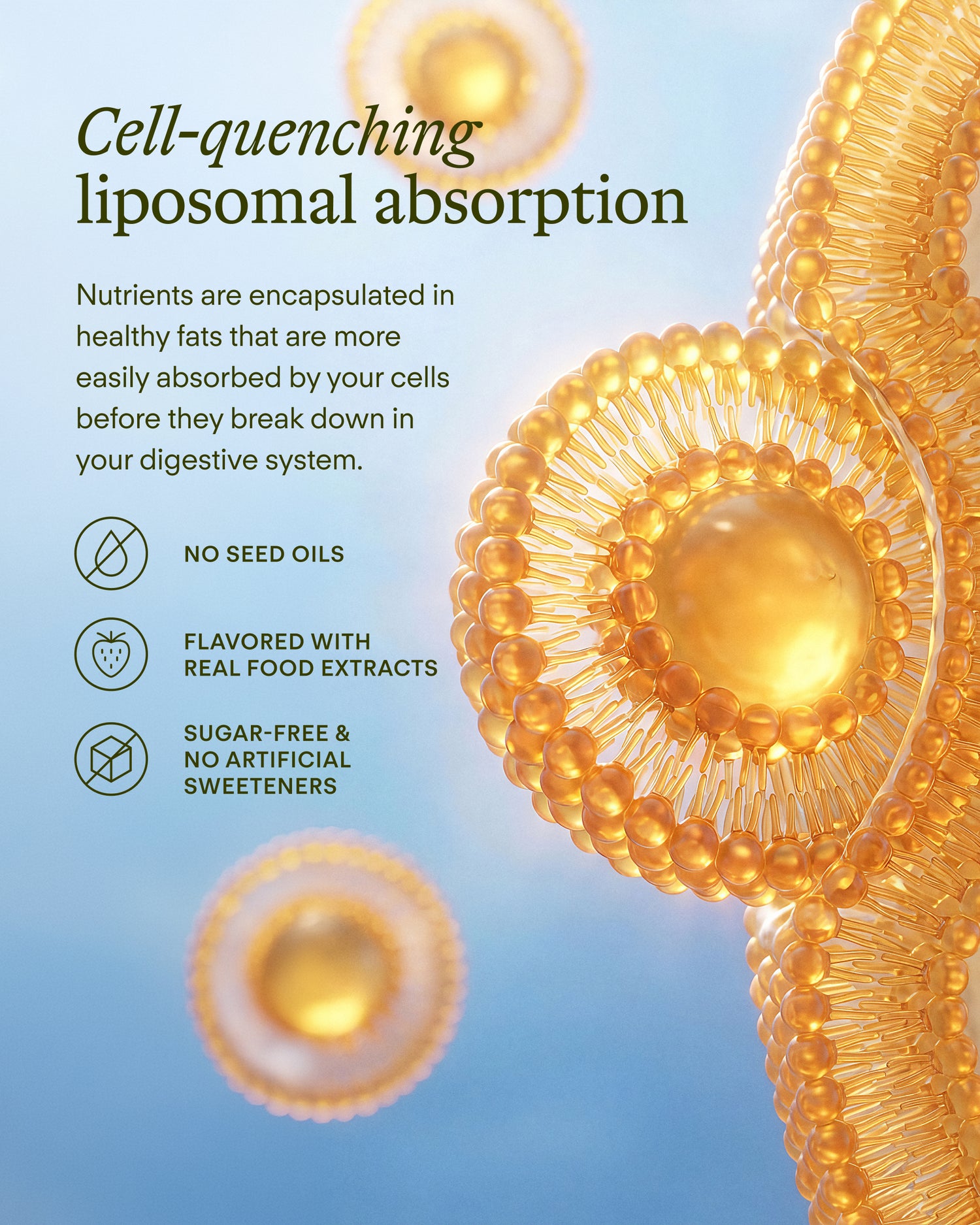 Liposomal Glutathione – Sunny Within