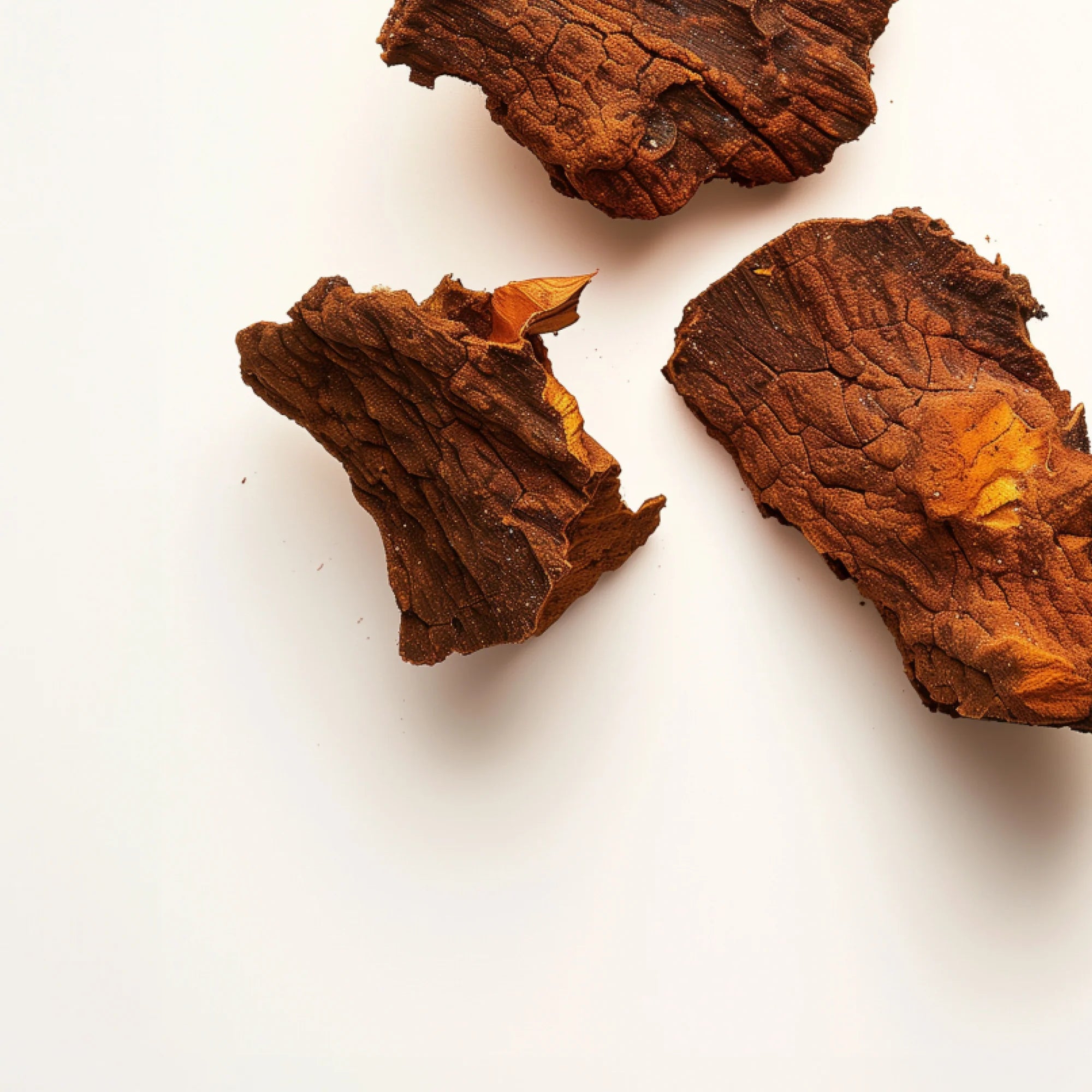 PDP Mushroom Chaga supplement - Organic ingredients nourishing your cells for a radiant glow.