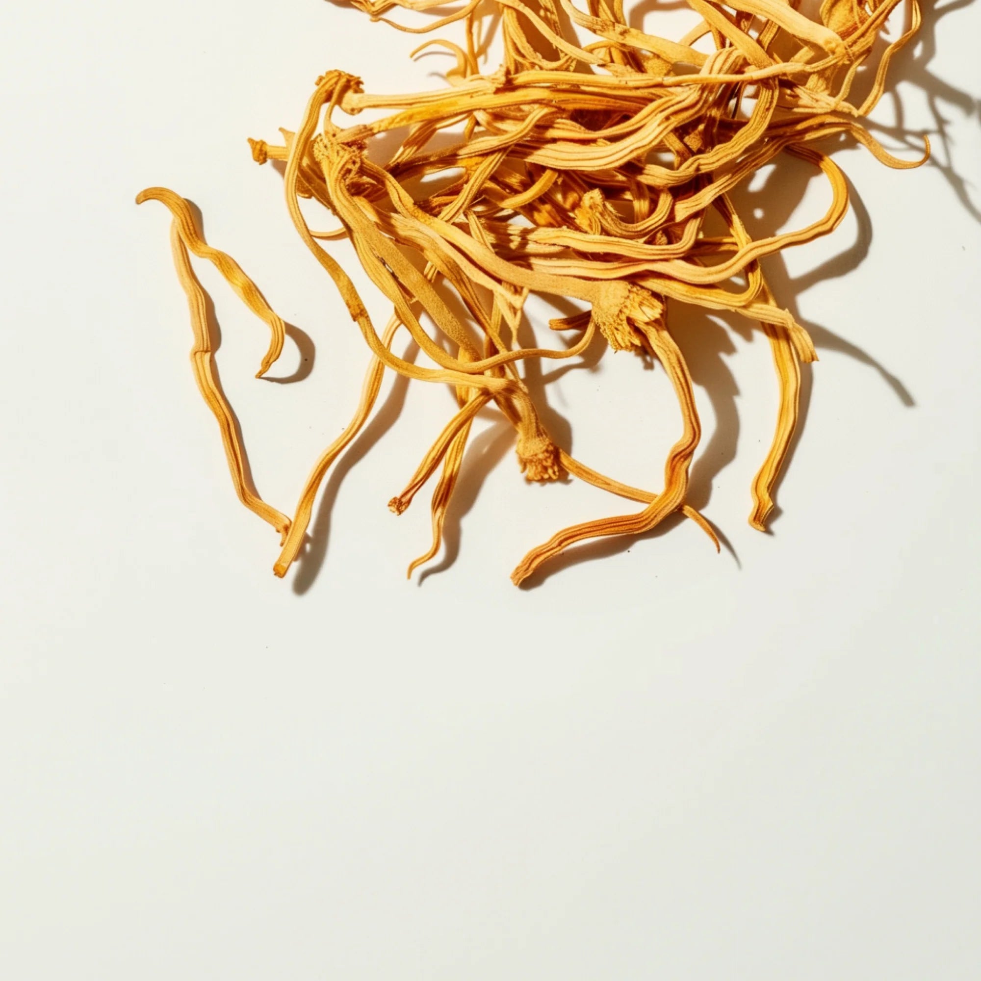 Mushroom Cordyceps supplement by Sunny Within - golden capsules energizing body and mind.