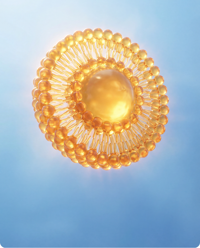 What is a liposome?